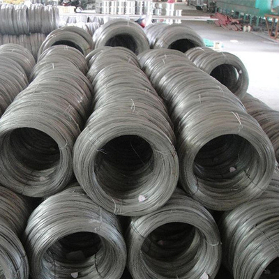 नायलॉन कोटिंग के साथ 316l 2 मिमी व्यास स्टेनलेस स्टील वायर